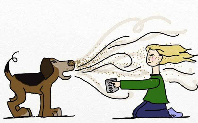 Read more about the article As Explosive as a Dog Sneeze