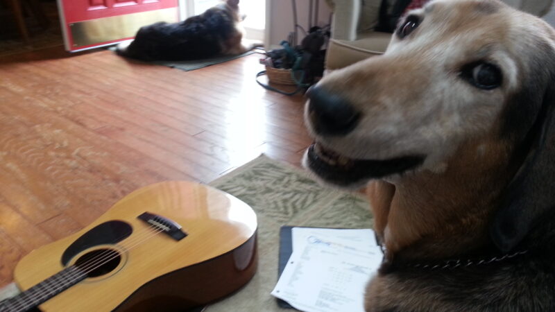 Sophie, Music Critic