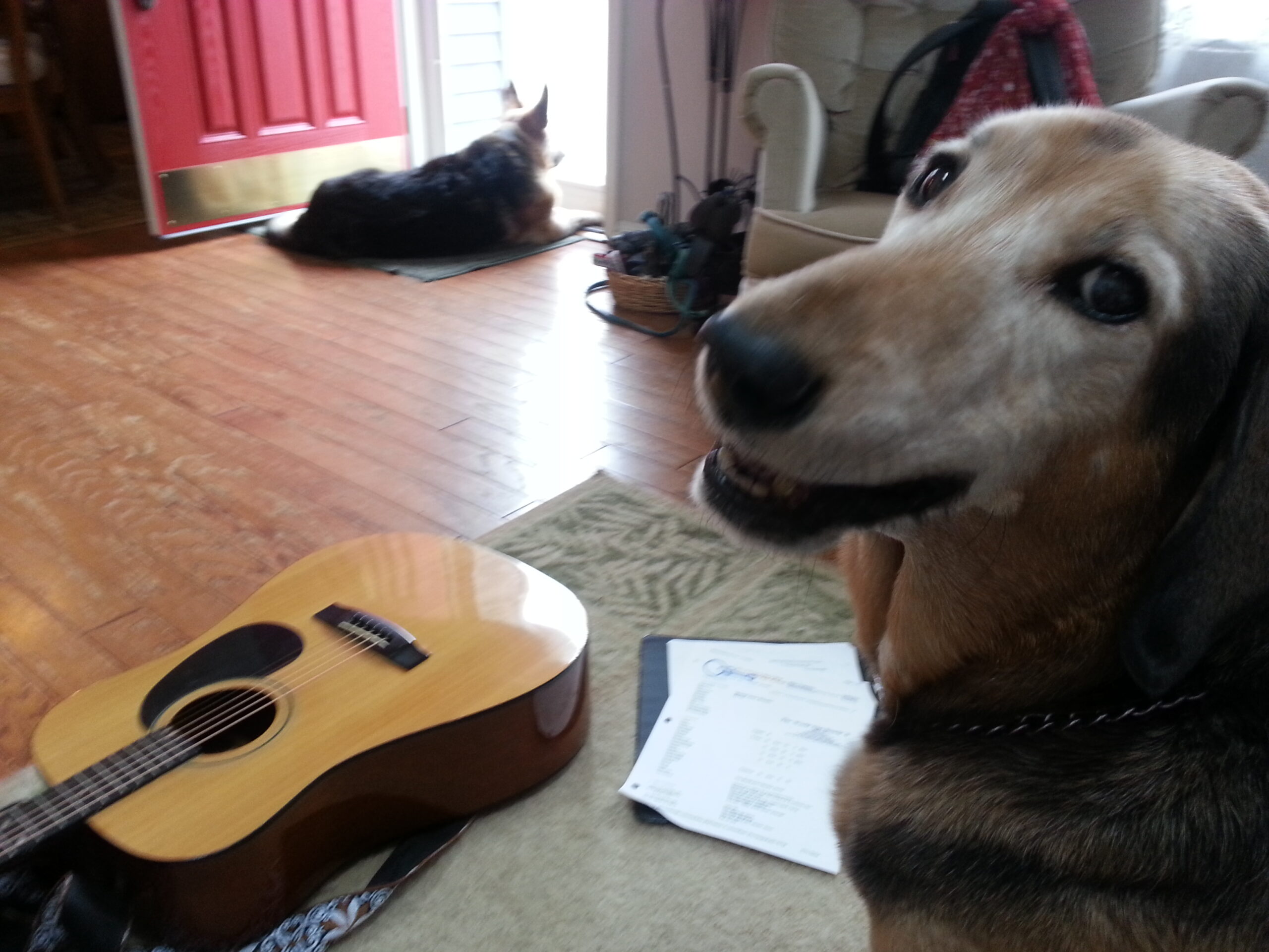 You are currently viewing Sophie, Music Critic