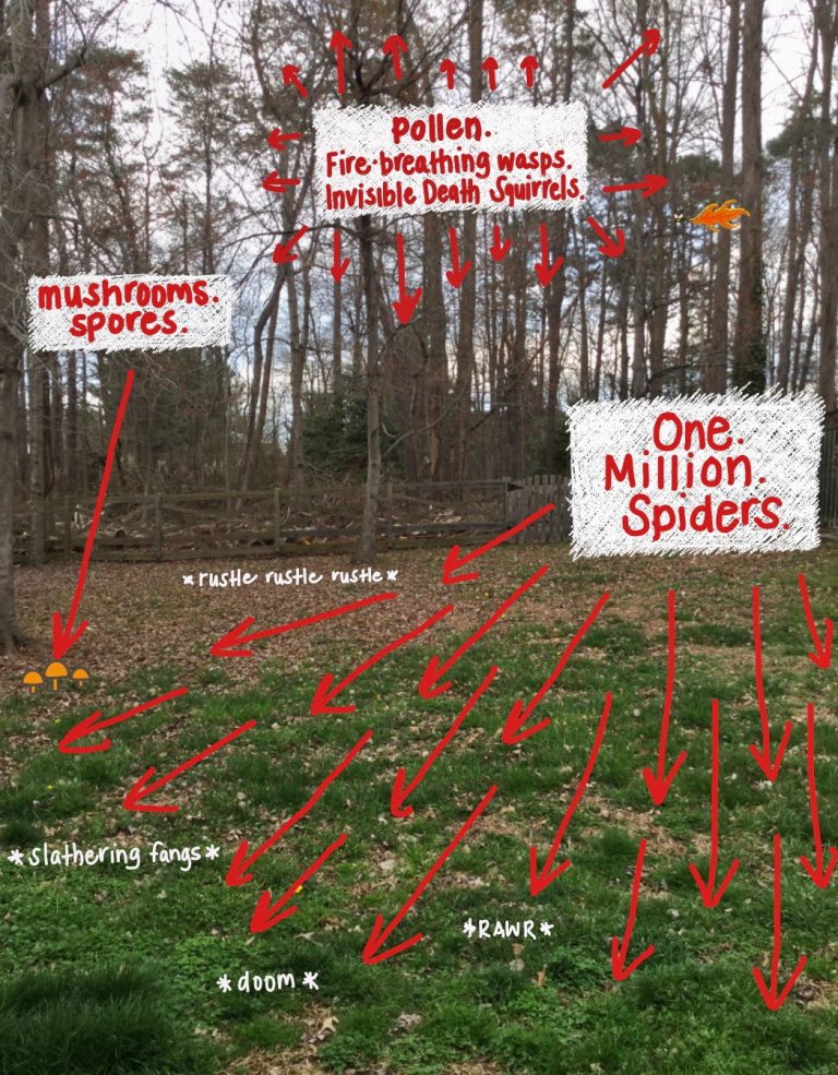 Read more about the article Spring Arrives on Little Spider Feet